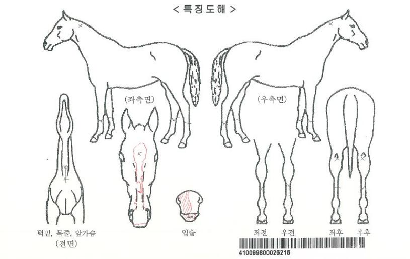 �������丮�� ����,���,�޸�,�λ�,�ٸ��� Ư¡����