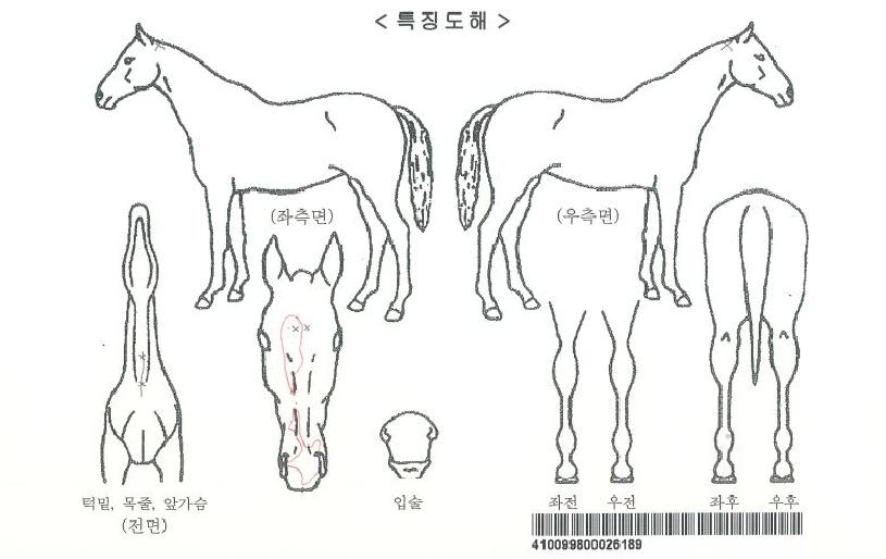 º°¹«¸®ÀÚ¸¶ÀÇ Ãø¸é,¿ì¸é,µÞ¸é,µÎ»ó,´Ù¸®ÀÇ Æ¯Â¡µµÇØ