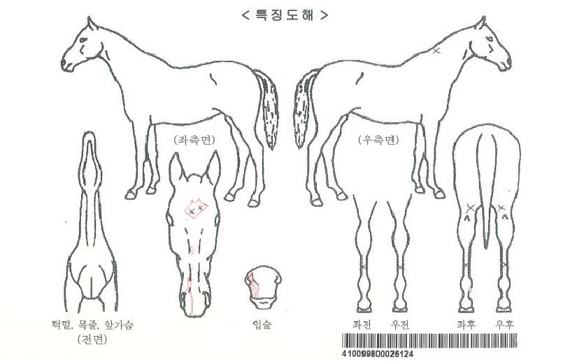 ��������Ʈ�� ����,���,�޸�,�λ�,�ٸ��� Ư¡����