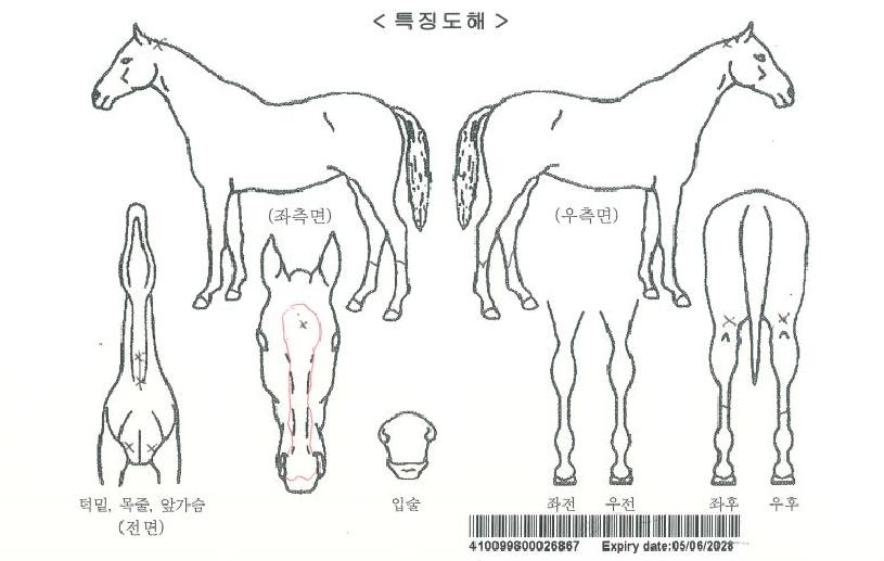 Å©·¹ÀÌÁöÅ¥ÀÚ¸¶ÀÇ Ãø¸é,¿ì¸é,µÞ¸é,µÎ»ó,´Ù¸®ÀÇ Æ¯Â¡µµÇØ