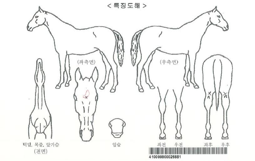 Á¤ÃµÀÇ Ãø¸é,¿ì¸é,µÞ¸é,µÎ»ó,´Ù¸®ÀÇ Æ¯Â¡µµÇØ