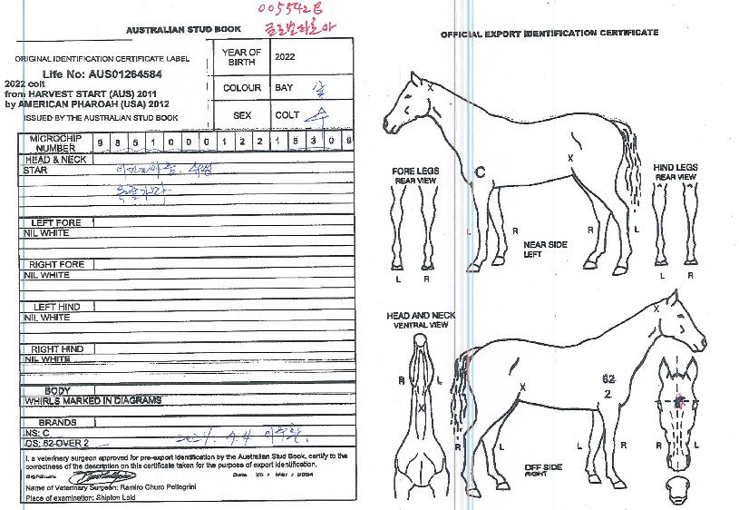 �۷ι��ķξ��� ����,���,�޸�,�λ�,�ٸ��� Ư¡����