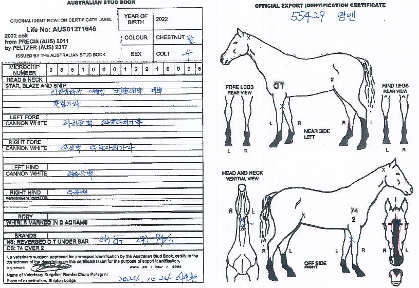 ������ ����,���,�޸�,�λ�,�ٸ��� Ư¡����