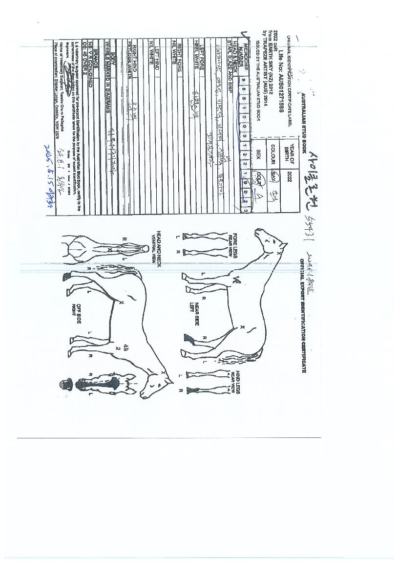 ����Ŭ������ ����,���,�޸�,�λ�,�ٸ��� Ư¡����