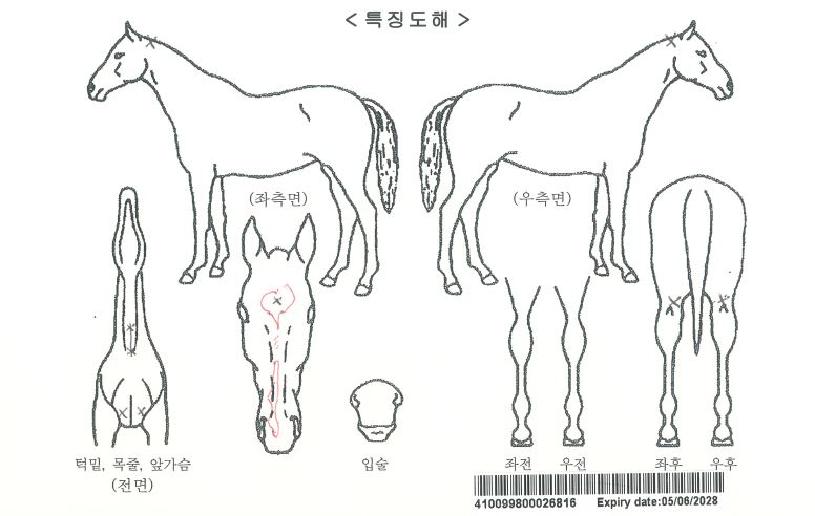 ������Ʈ�ڸ��� ����,���,�޸�,�λ�,�ٸ��� Ư¡����