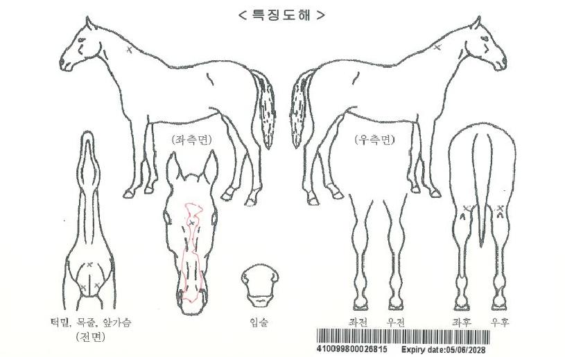 ����¯�ڸ��� ����,���,�޸�,�λ�,�ٸ��� Ư¡����