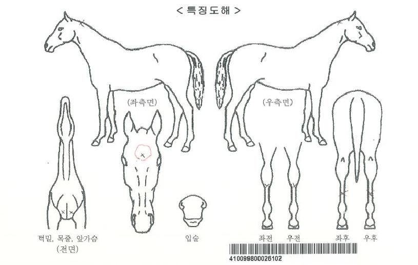 ³×ÀÌÆ¼ºê¿øÀÚ¸¶ÀÇ Ãø¸é,¿ì¸é,µÞ¸é,µÎ»ó,´Ù¸®ÀÇ Æ¯Â¡µµÇØ