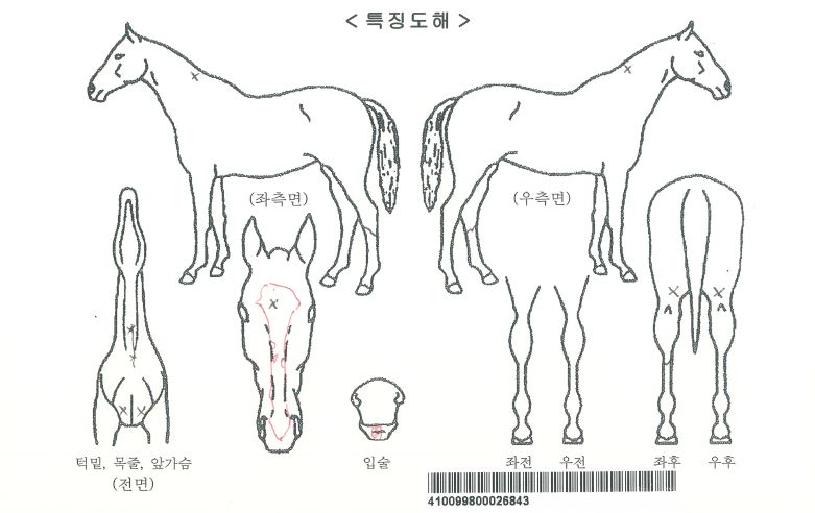 �������͸���Ʈ���ڸ��� ����,���,�޸�,�λ�,�ٸ��� Ư¡����