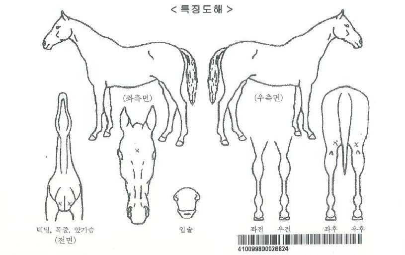 ��������̵��ڸ��� ����,���,�޸�,�λ�,�ٸ��� Ư¡����