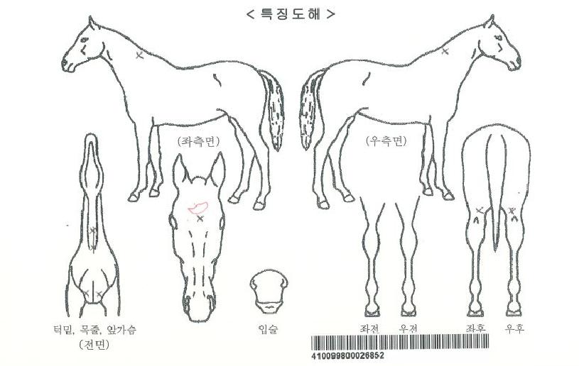 ��������ڸ��� ����,���,�޸�,�λ�,�ٸ��� Ư¡����