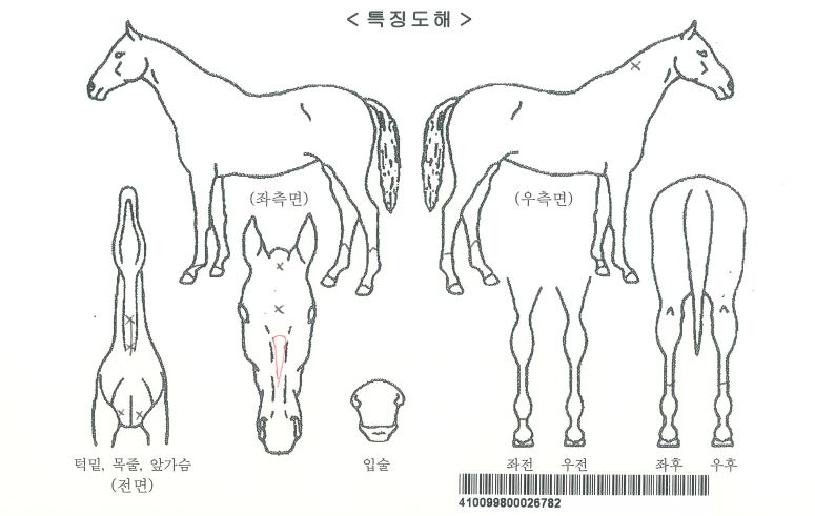 ����Ƽ���̺꿡���ڸ��� ����,���,�޸�,�λ�,�ٸ��� Ư¡����