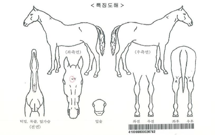 ���ν��ͷ��̵��ڸ��� ����,���,�޸�,�λ�,�ٸ��� Ư¡����