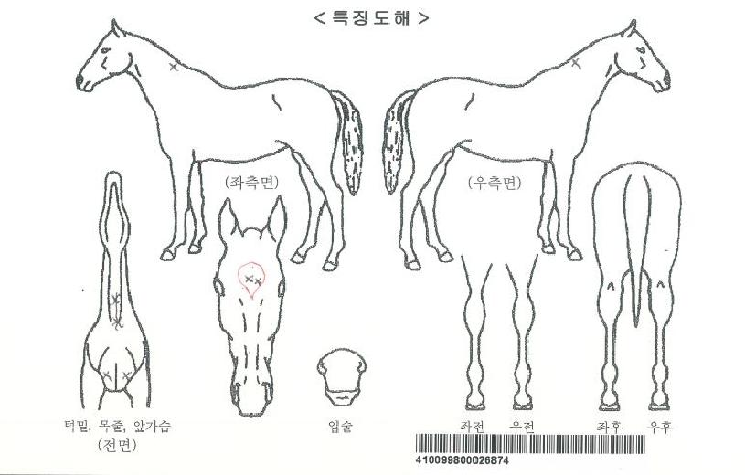 ���ƽý������� ����,���,�޸�,�λ�,�ٸ��� Ư¡����