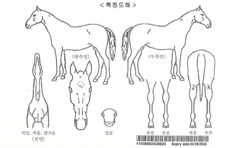 ¸ÅµåÆÄ¿öÀÚ¸¶ÀÇ Ãø¸é,¿ì¸é,µÞ¸é,µÎ»ó,´Ù¸®ÀÇ Æ¯Â¡µµÇØ