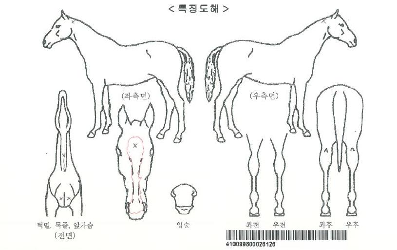 �ְ�ķ���ڸ��� ����,���,�޸�,�λ�,�ٸ��� Ư¡����