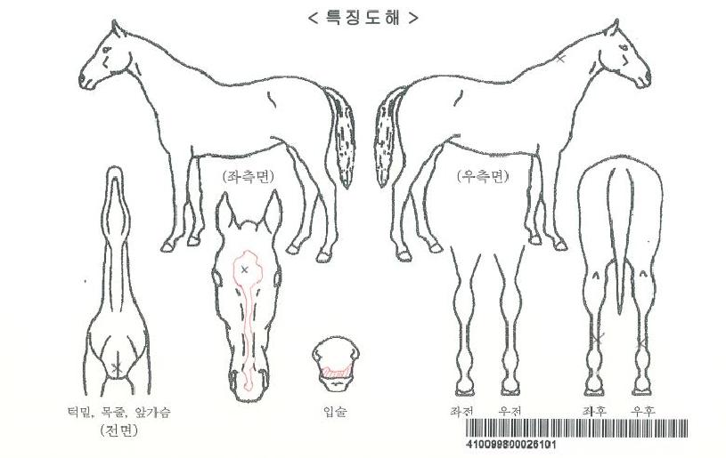 ���̽��ο��ڸ��� ����,���,�޸�,�λ�,�ٸ��� Ư¡����