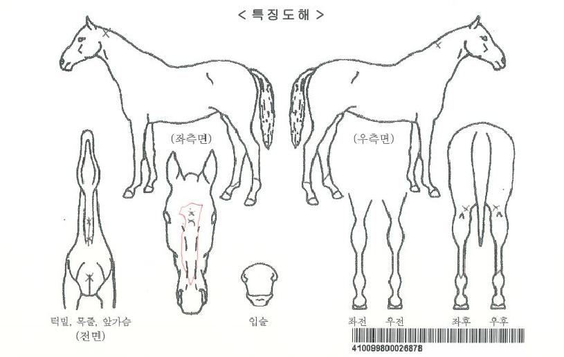 ������������ ����,���,�޸�,�λ�,�ٸ��� Ư¡����