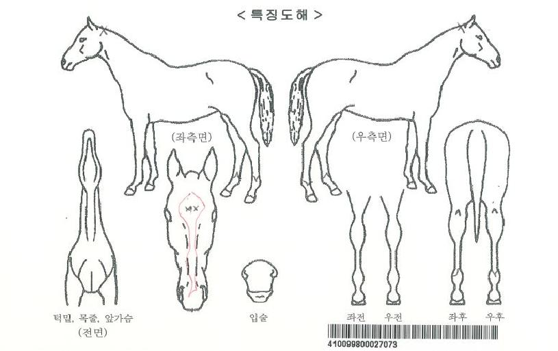 ���̿������ڸ��� ����,���,�޸�,�λ�,�ٸ��� Ư¡����