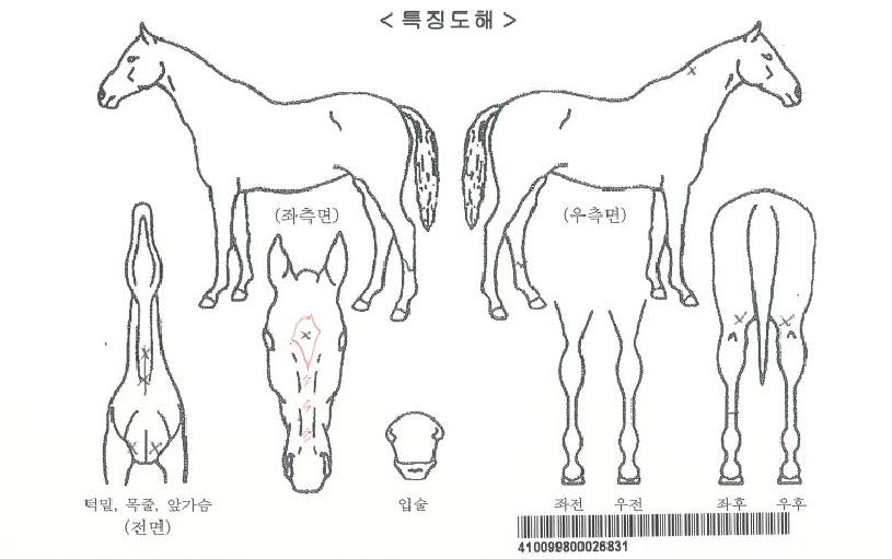 �÷ζ��������ڸ��� ����,���,�޸�,�λ�,�ٸ��� Ư¡����