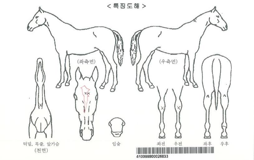 ��굵���ڸ��� ����,���,�޸�,�λ�,�ٸ��� Ư¡����