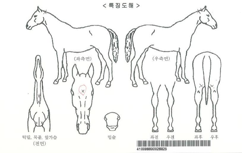 ���ǻ������ ����,���,�޸�,�λ�,�ٸ��� Ư¡����