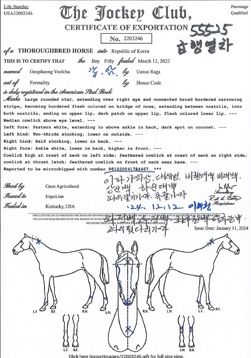 ±ÞÇà¿Â÷ÀÇ Ãø¸é,¿ì¸é,µÞ¸é,µÎ»ó,´Ù¸®ÀÇ Æ¯Â¡µµÇØ