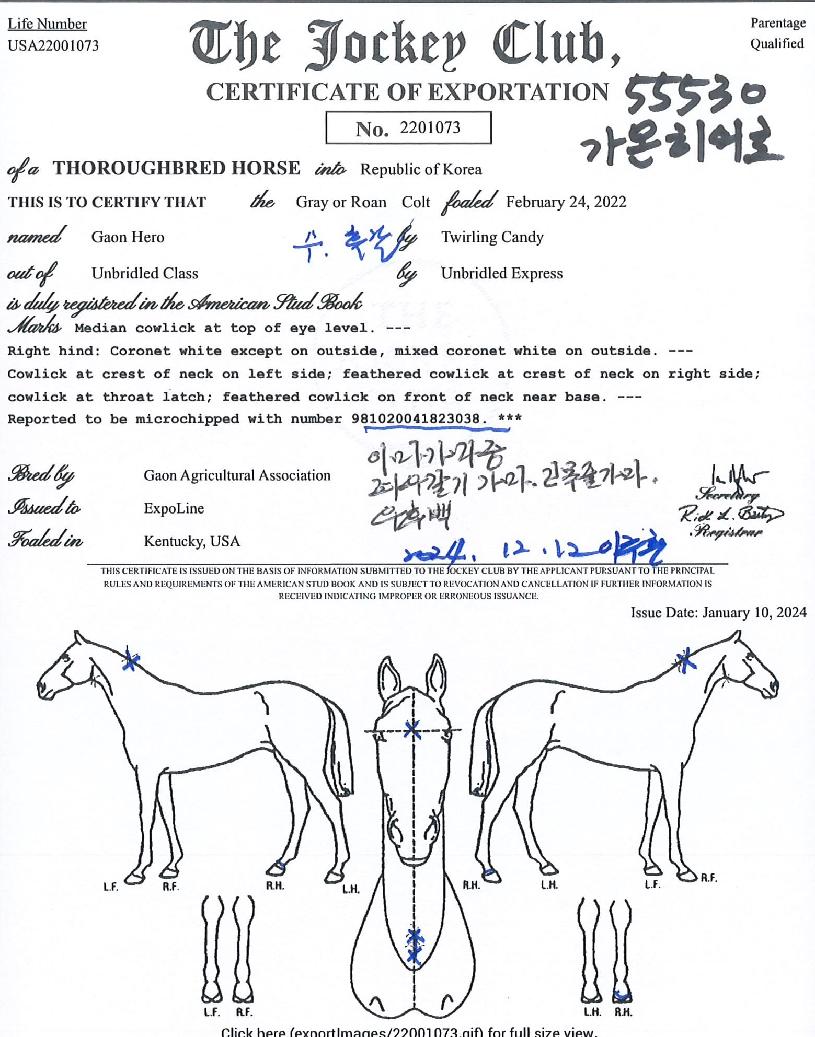 °¡¿ÂÈ÷¾î·ÎÀÇ Ãø¸é,¿ì¸é,µÞ¸é,µÎ»ó,´Ù¸®ÀÇ Æ¯Â¡µµÇØ