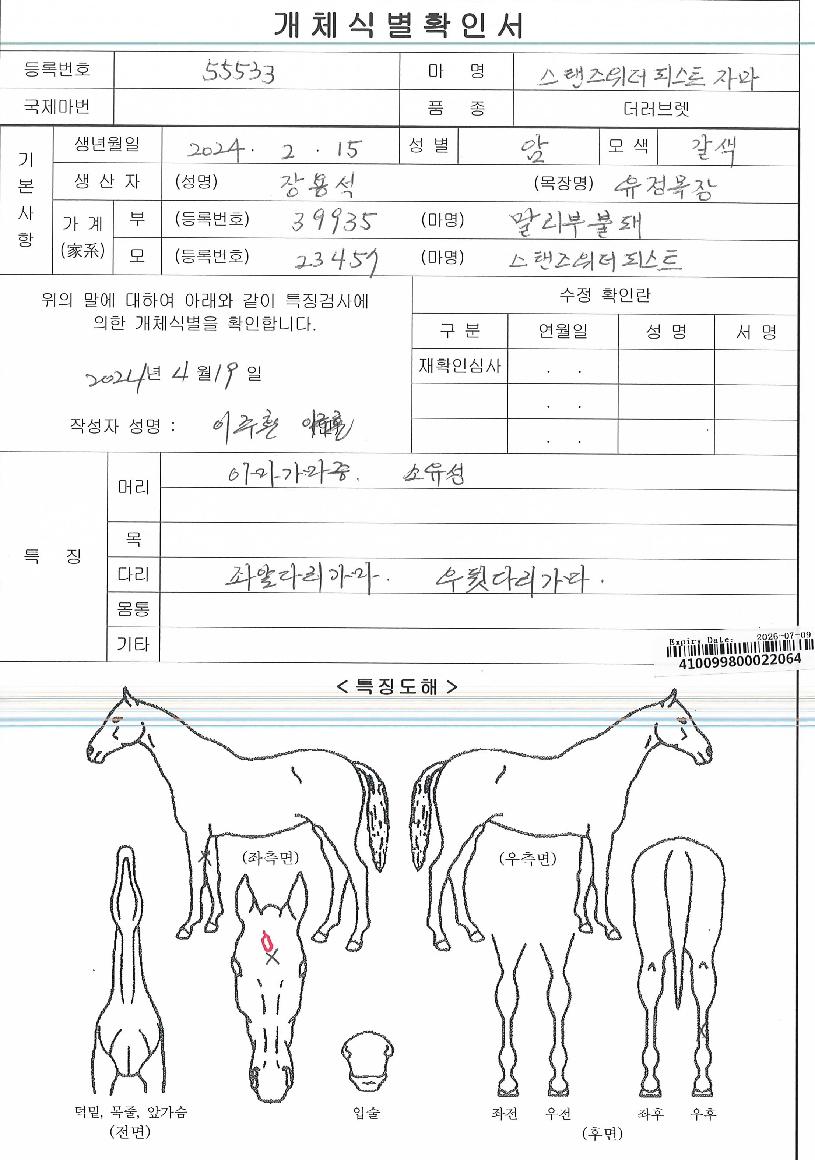 �����������ǽ�Ʈ�ڸ��� ����,���,�޸�,�λ�,�ٸ��� Ư¡����