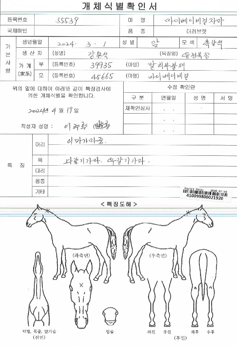 ¸¶À̺£À̺ñ°ÉÀÚ¸¶ÀÇ Ãø¸é,¿ì¸é,µÞ¸é,µÎ»ó,´Ù¸®ÀÇ Æ¯Â¡µµÇØ