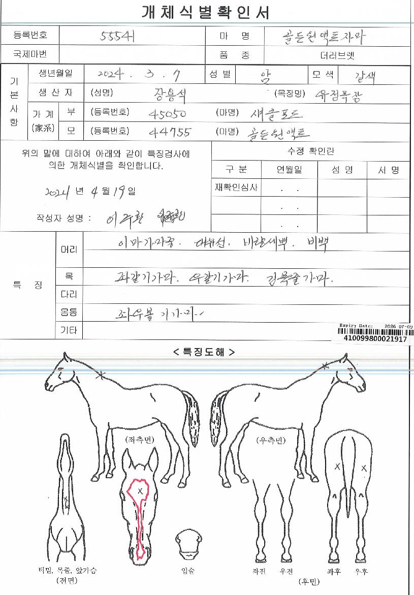 °ñµç¿ø¾×Æ®ÀÚ¸¶ÀÇ Ãø¸é,¿ì¸é,µÞ¸é,µÎ»ó,´Ù¸®ÀÇ Æ¯Â¡µµÇØ