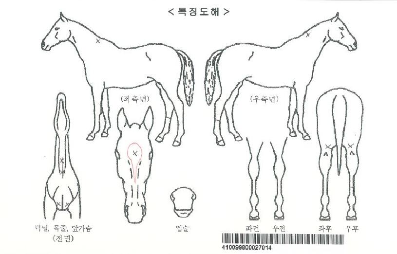 ����Ʈ�����ڸ��� ����,���,�޸�,�λ�,�ٸ��� Ư¡����