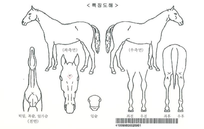 Ȧ����ũ�ڸ��� ����,���,�޸�,�λ�,�ٸ��� Ư¡����