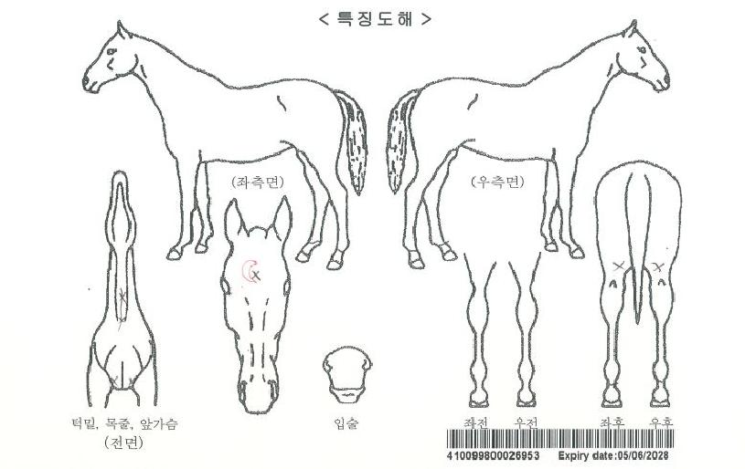 ���̿����������ڸ��� ����,���,�޸�,�λ�,�ٸ��� Ư¡����