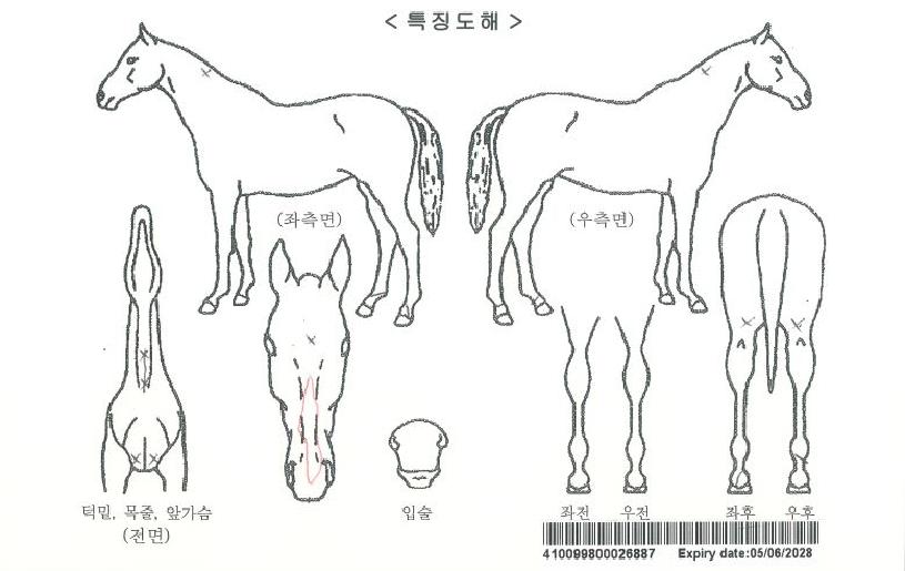 �������̵��ڸ��� ����,���,�޸�,�λ�,�ٸ��� Ư¡����