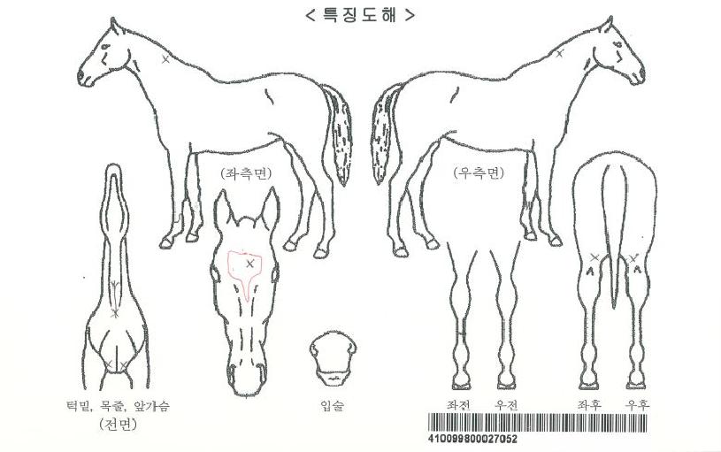 �����Ŀ��� ����,���,�޸�,�λ�,�ٸ��� Ư¡����