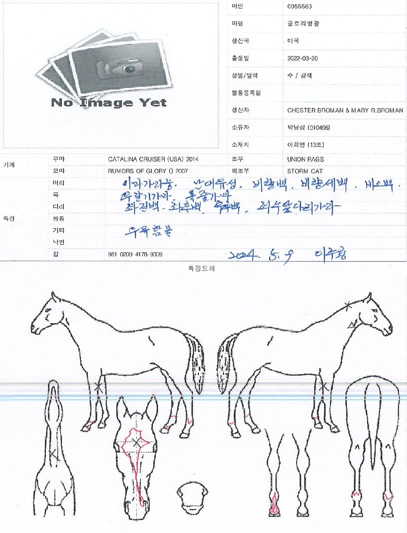 �۷θ������� ����,���,�޸�,�λ�,�ٸ��� Ư¡����