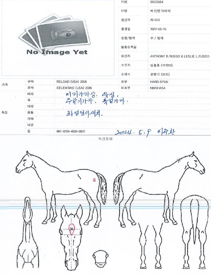 ���ӿ����̾��� ����,���,�޸�,�λ�,�ٸ��� Ư¡����