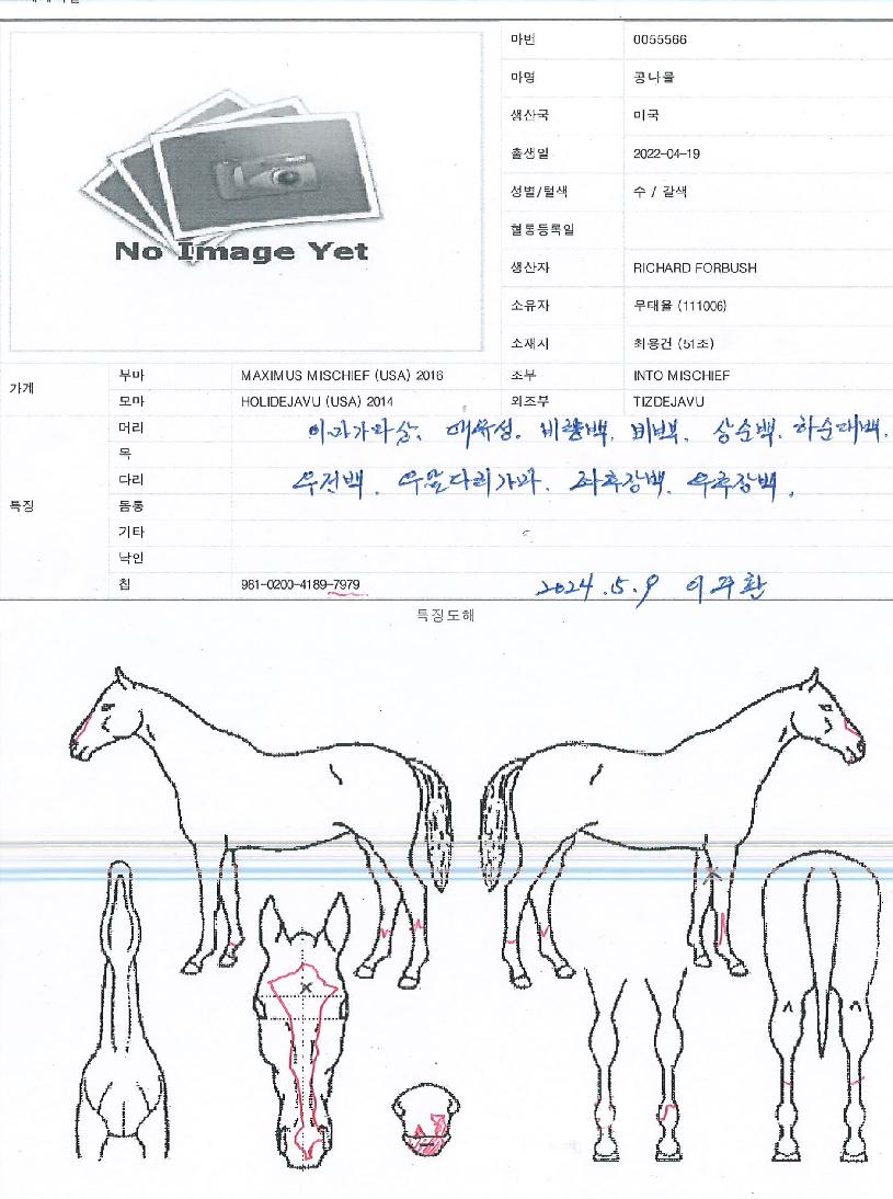 �ᳪ���� ����,���,�޸�,�λ�,�ٸ��� Ư¡����