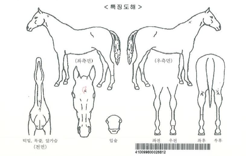 �ö���è���ڸ��� ����,���,�޸�,�λ�,�ٸ��� Ư¡����