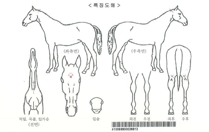 �������ڸ��� ����,���,�޸�,�λ�,�ٸ��� Ư¡����