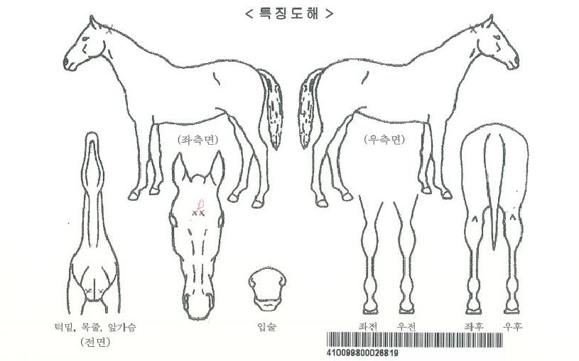 ½ºÆäÀ̽º¼ÅƲÀÚ¸¶ÀÇ Ãø¸é,¿ì¸é,µÞ¸é,µÎ»ó,´Ù¸®ÀÇ Æ¯Â¡µµÇØ