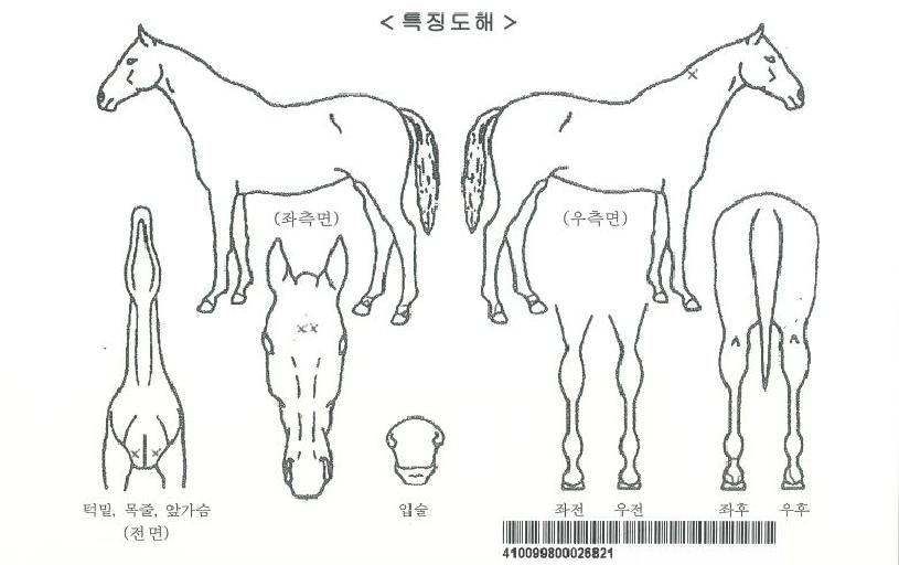 ���װ��ڸ��� ����,���,�޸�,�λ�,�ٸ��� Ư¡����