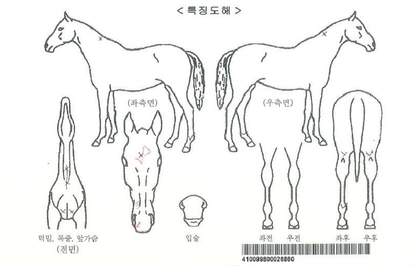 ������ڸ��� ����,���,�޸�,�λ�,�ٸ��� Ư¡����