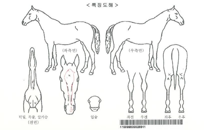 ����ö���ڸ��� ����,���,�޸�,�λ�,�ٸ��� Ư¡����