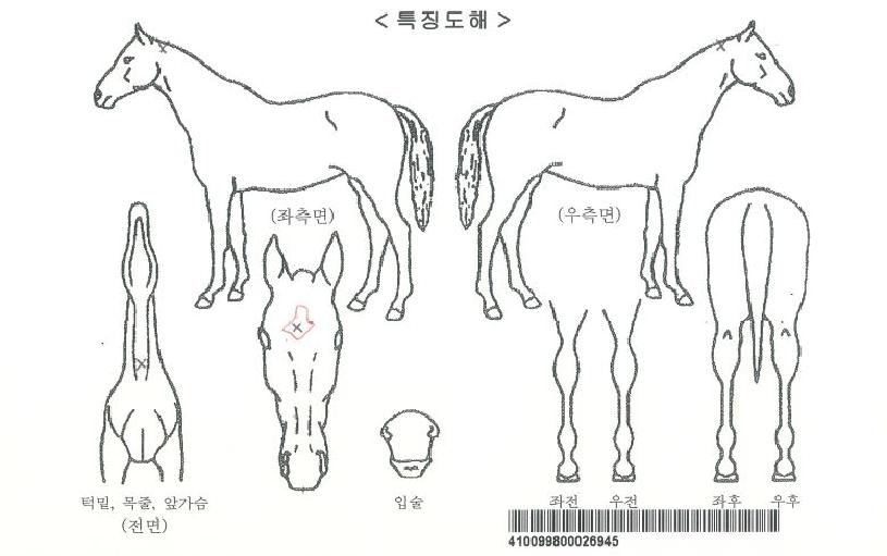 ��ũ�����̵��ڸ��� ����,���,�޸�,�λ�,�ٸ��� Ư¡����