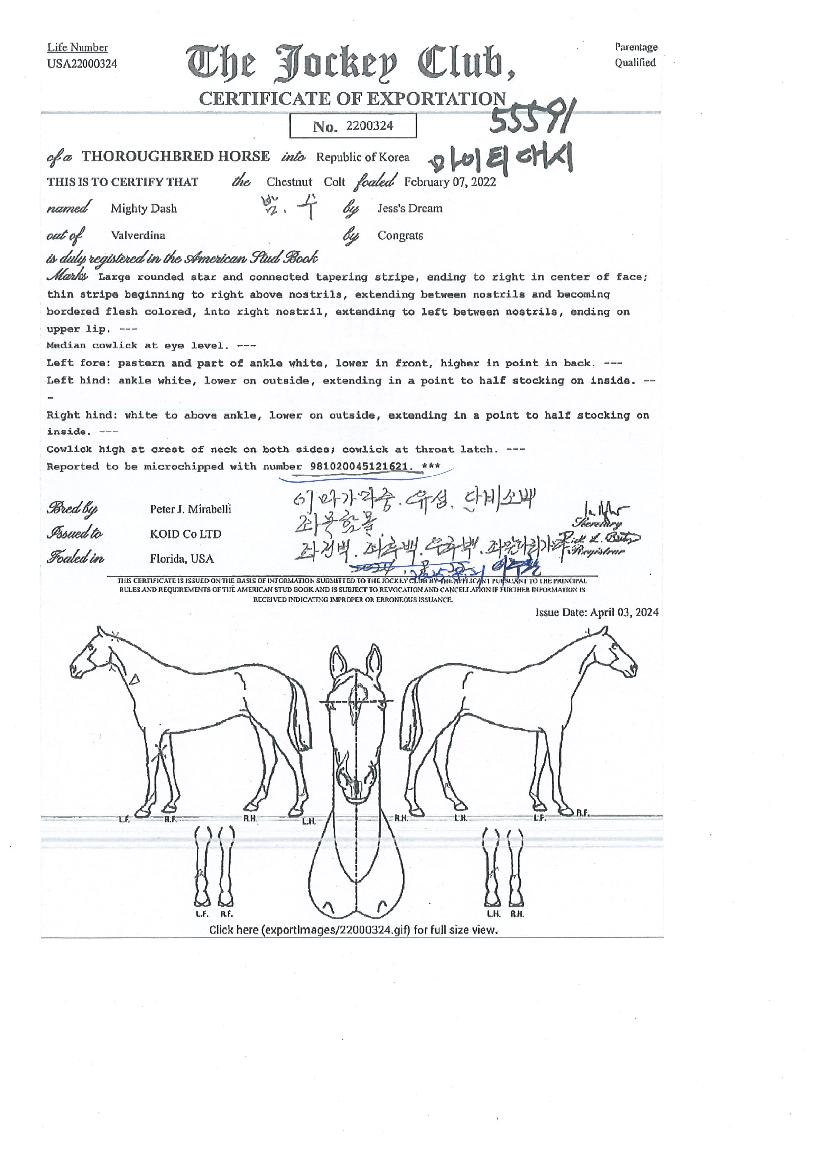 ����Ƽ����� ����,���,�޸�,�λ�,�ٸ��� Ư¡����