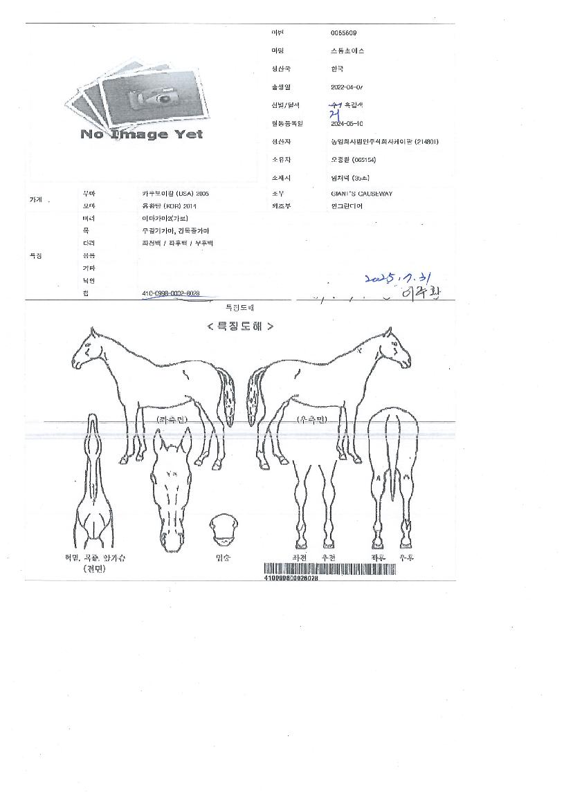 ½ºÅèÃÊÀ̽ºÀÇ Ãø¸é,¿ì¸é,µÞ¸é,µÎ»ó,´Ù¸®ÀÇ Æ¯Â¡µµÇØ
