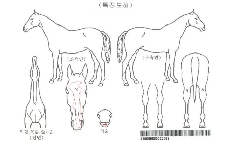 ÆÛÆåÆ®½ºÅµÀÚ¸¶ÀÇ Ãø¸é,¿ì¸é,µÞ¸é,µÎ»ó,´Ù¸®ÀÇ Æ¯Â¡µµÇØ