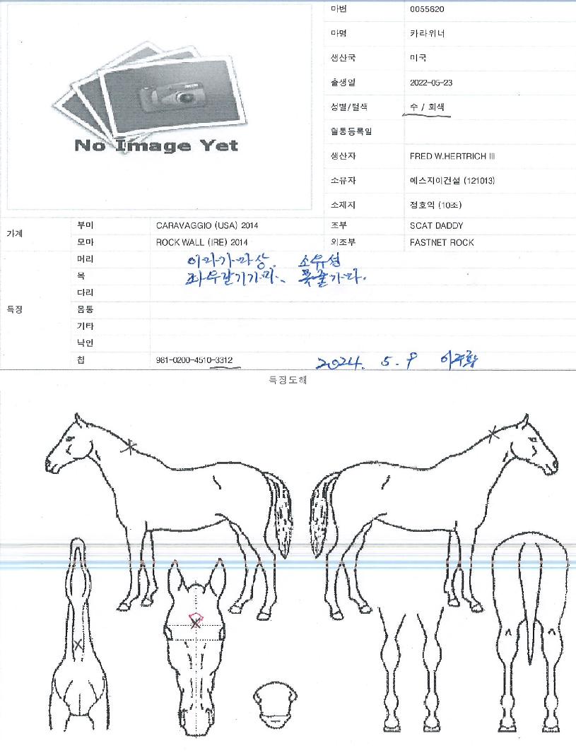 Ä«¶óÀ§³ÊÀÇ Ãø¸é,¿ì¸é,µÞ¸é,µÎ»ó,´Ù¸®ÀÇ Æ¯Â¡µµÇØ