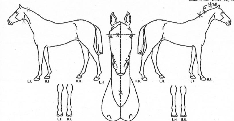 ¸¶ÀÌ´øÀÇ Ãø¸é,¿ì¸é,µÞ¸é,µÎ»ó,´Ù¸®ÀÇ Æ¯Â¡µµÇØ